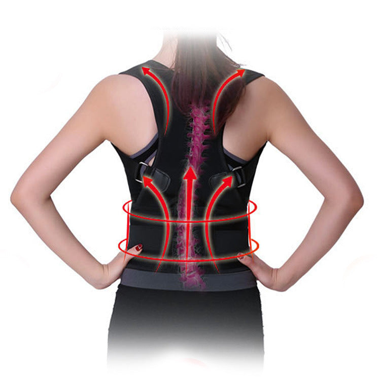 Magnetic Adult Posture Corrector Belt – Body Alignment Brace